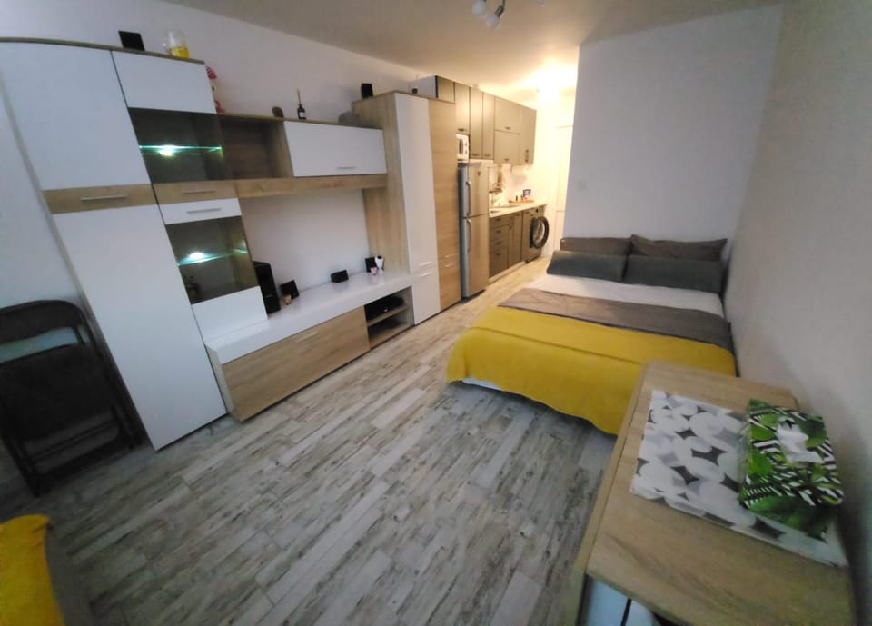 Bed, Kitchen or kitchenette, Living room, Photo of the whole room, Seating area, Bedroom, wardrobe
