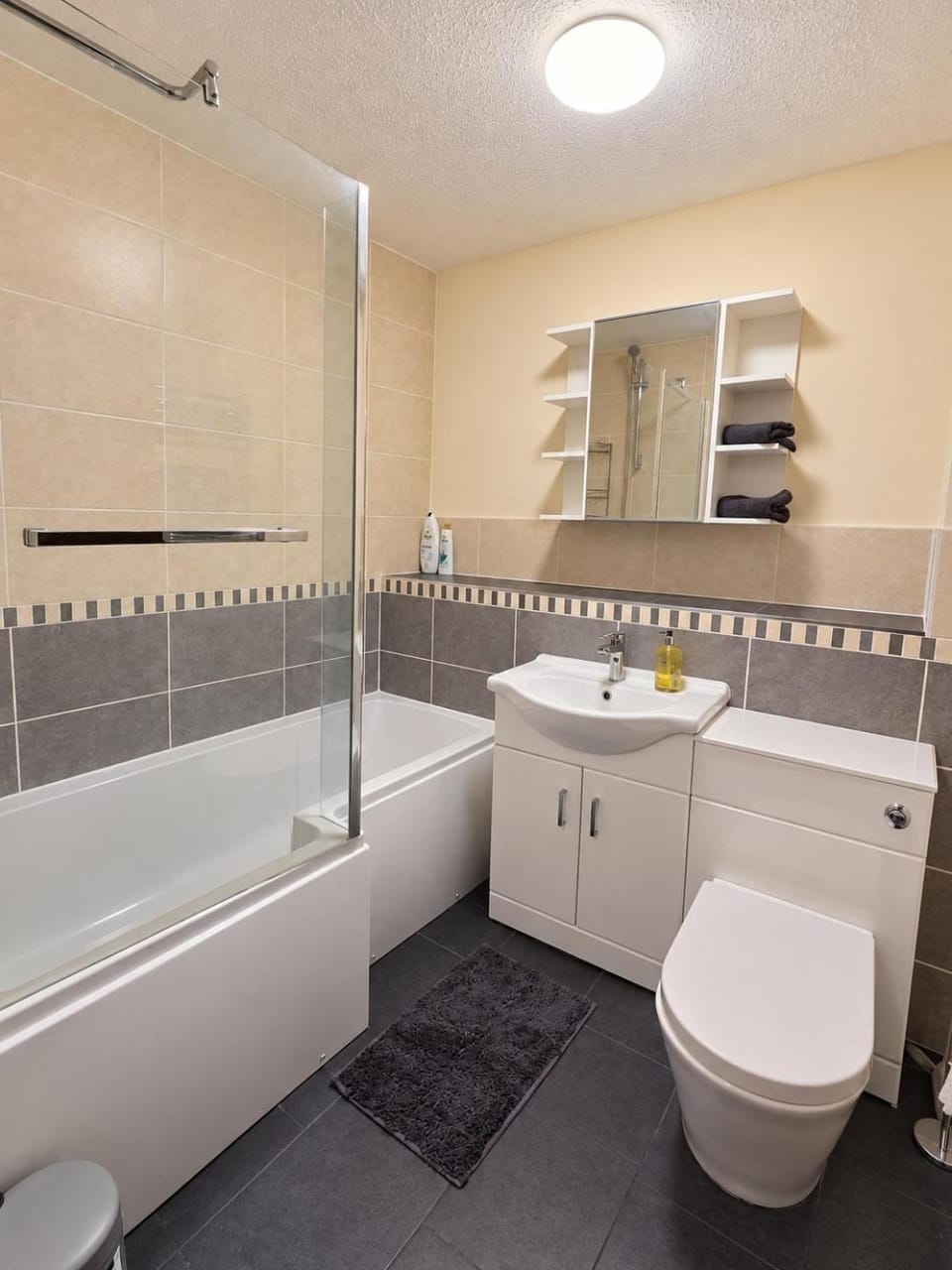 Shower, Toilet, Bathroom, Bath, towels
