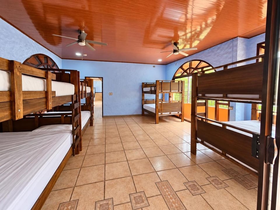 Photo of the whole room, Bedroom, bunk bed