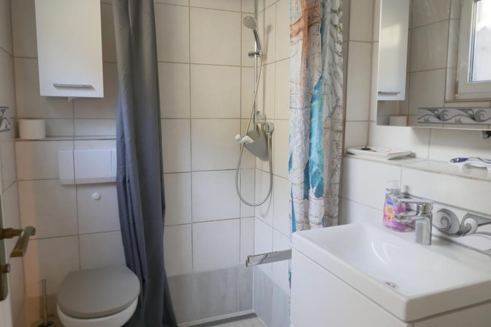 Shower, Toilet, Bathroom, towels