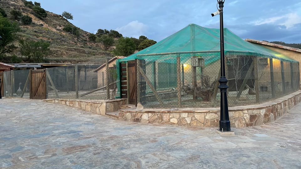 Chozo Rubén Villa in Castile and León