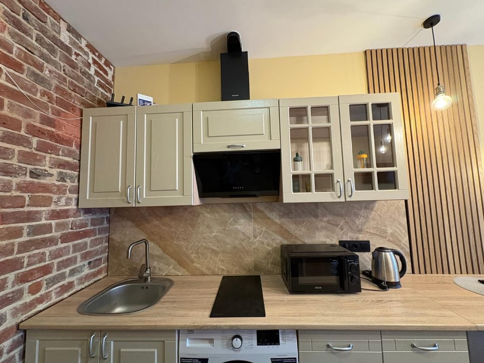 Стильна однокімнатна квартира Apartment in Lviv
