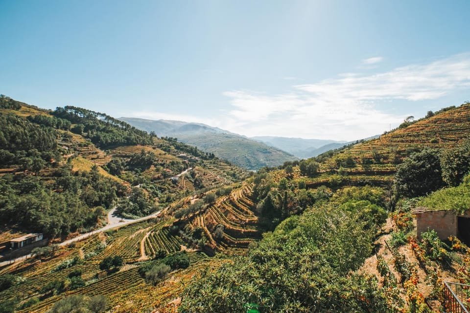 Ninho de Xisto - Natureza, Vinhas e Vistas Villa in Vila Real District