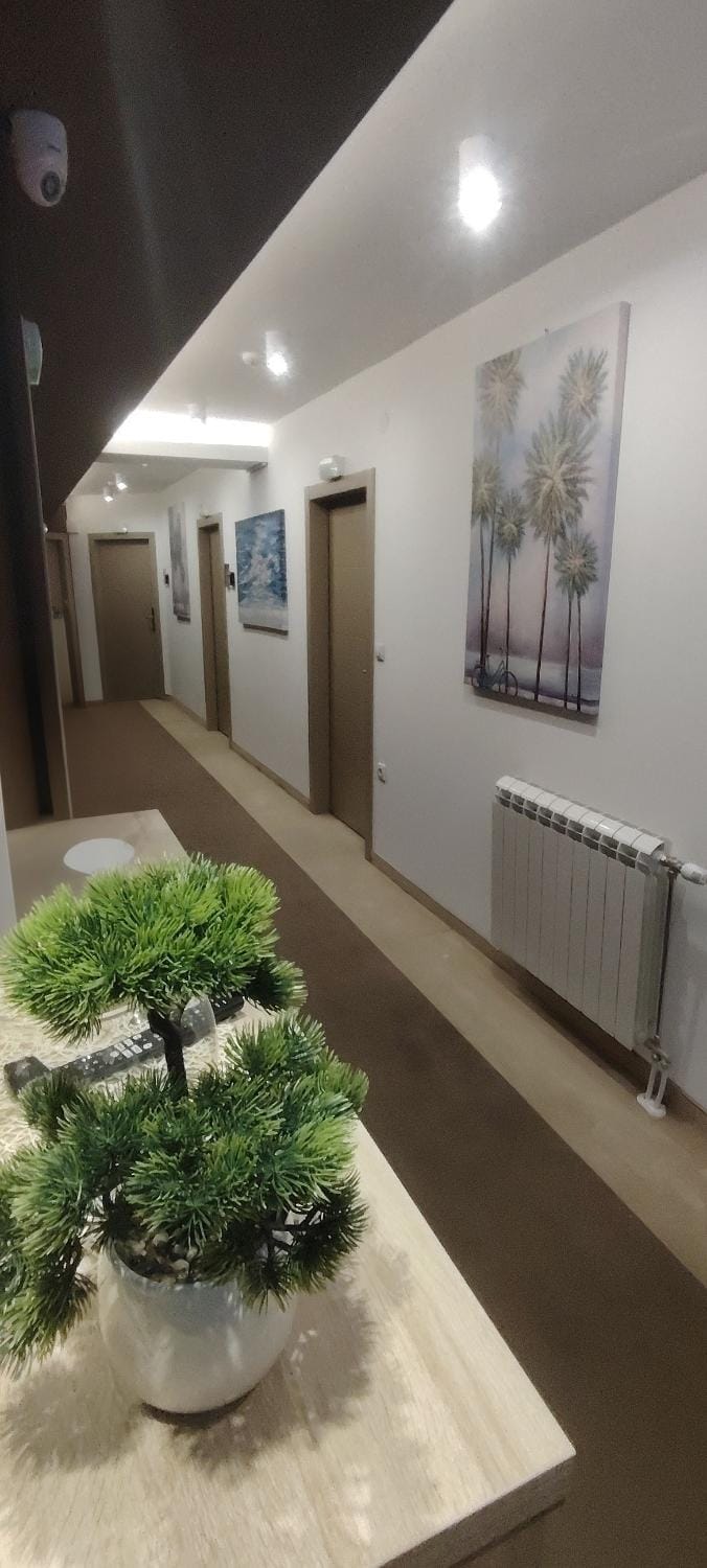 Dream House Apartment in Serbia