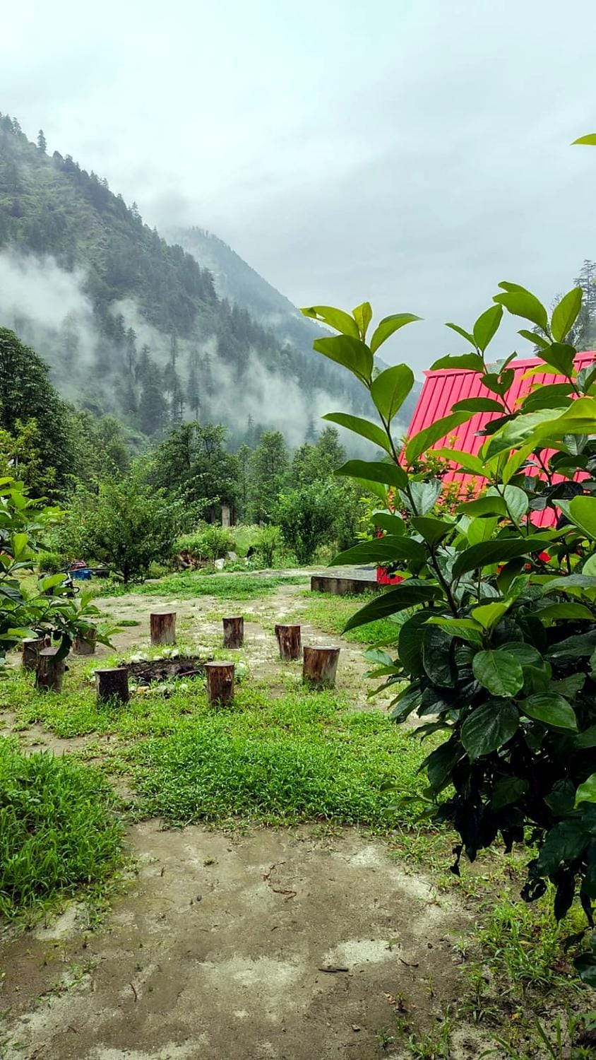Transylvania - The Land Beyond The Forest Farm Stay in Himachal Pradesh