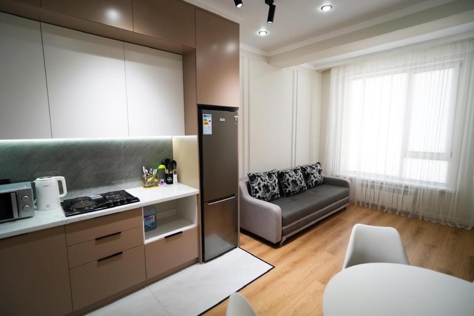 Capital City Apartment in Kazakhstan