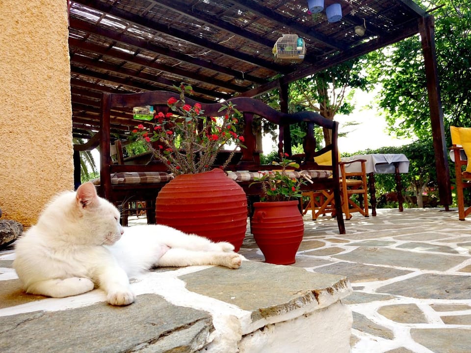 Patio, Restaurant/places to eat, Garden, Library, Lobby or reception, Lounge or bar, Pets