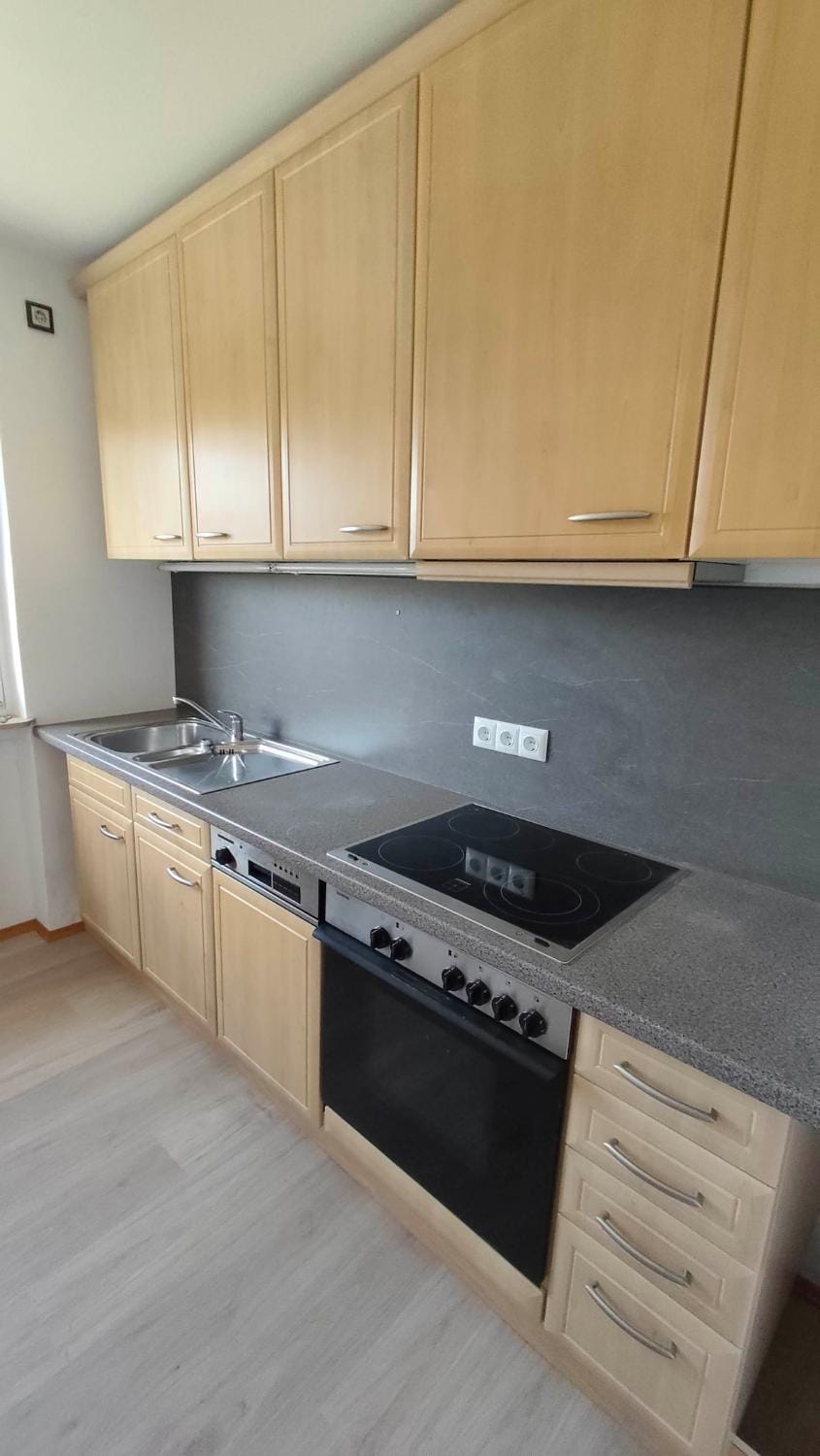 Kitchen or kitchenette, kitchen