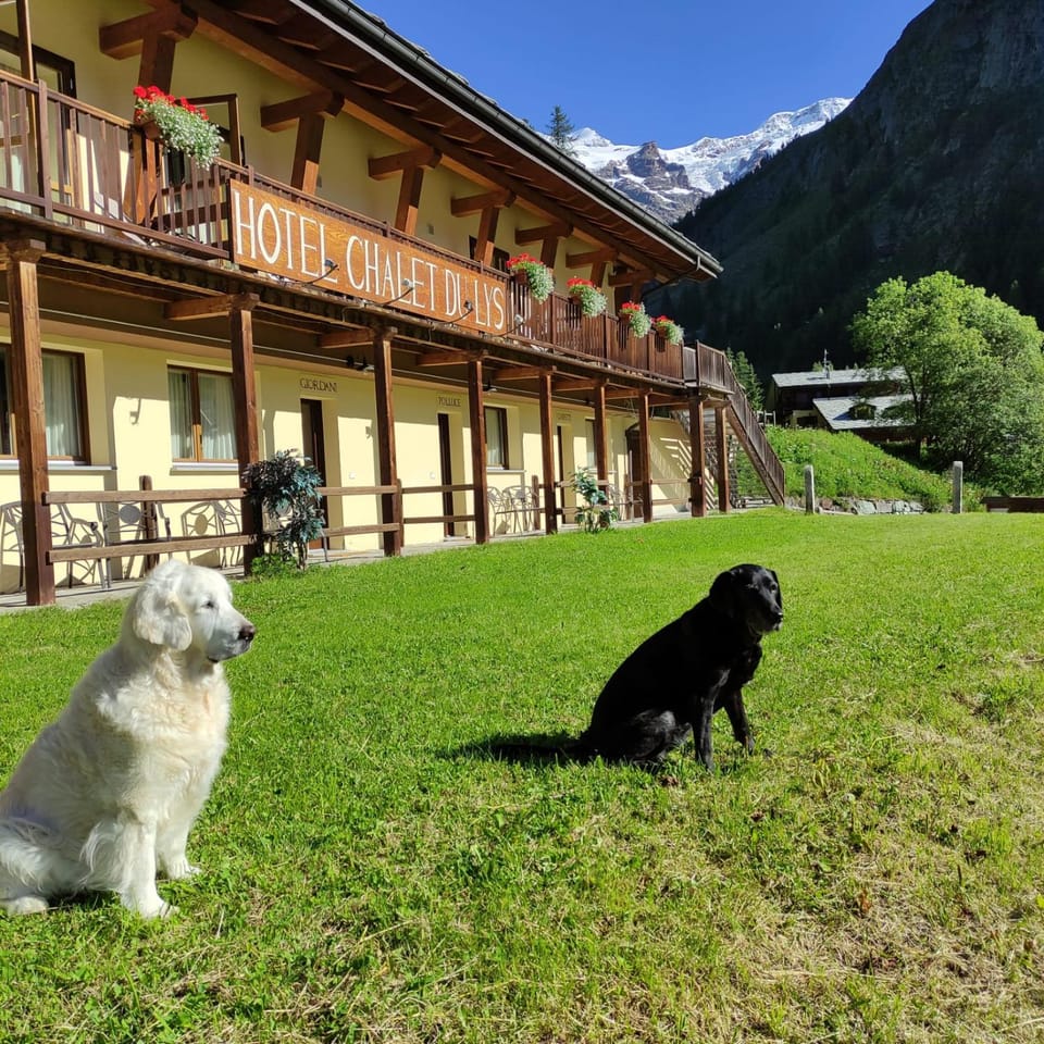 Property building, Animals, Pets