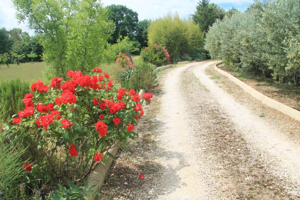 Appartamento "IL Casale di Casagiove" Apartment in Umbria