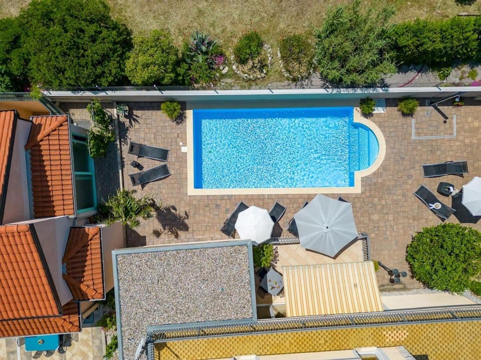 Property building, Garden, Swimming pool