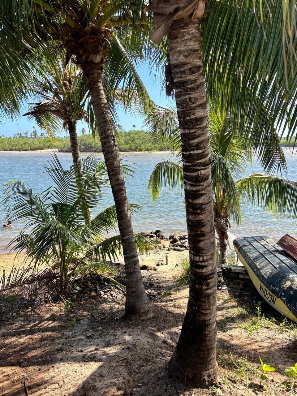 casaspomarjacuipe House in State of Bahia