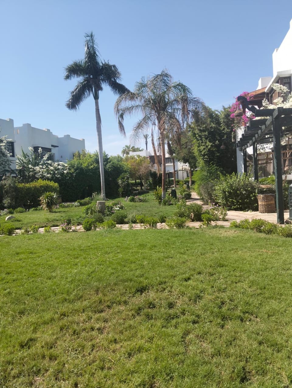 دلتا شرم Apartment in Sharm El-Sheikh