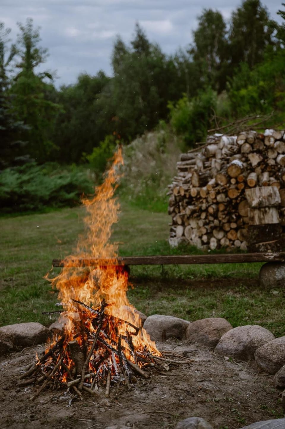 Zielona parcela Farm Stay in Poland
