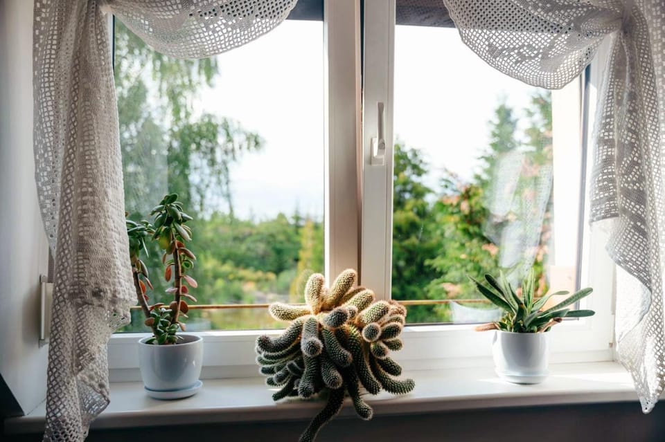 Zielona parcela Farm Stay in Poland