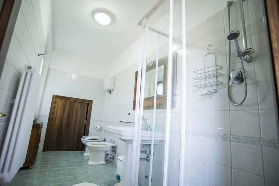 Shower, Toilet, Bathroom, bidet