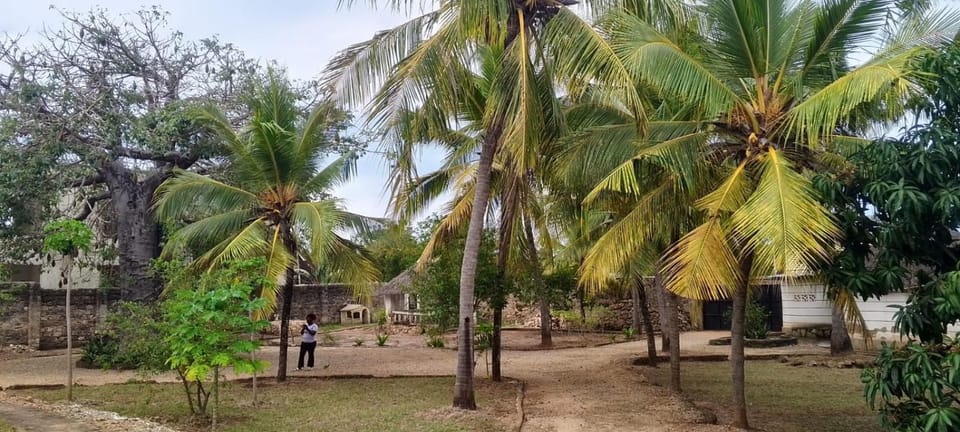 Mbuyu villa Villa in Diani Beach