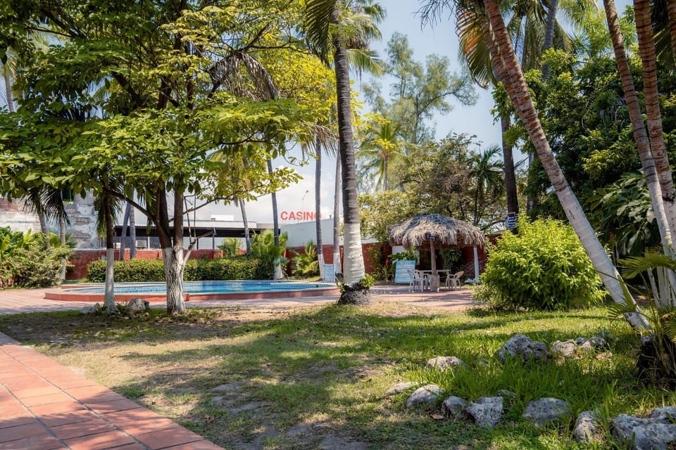 Garden, Garden view, Swimming pool