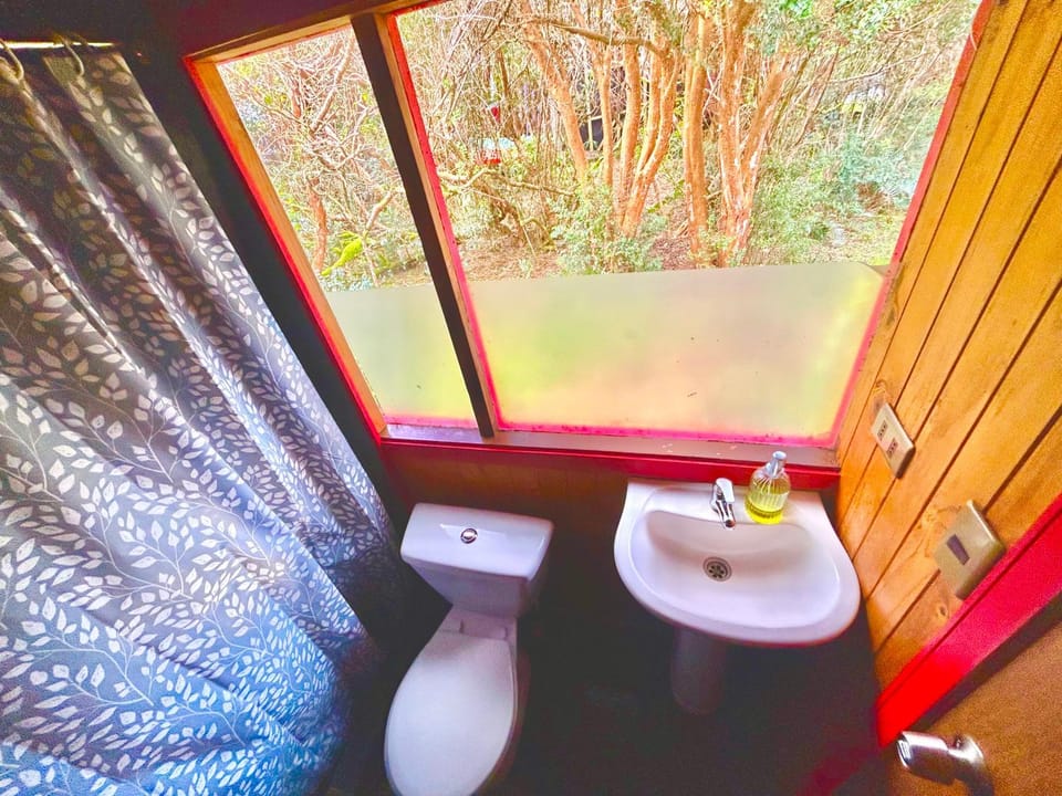 Hostal & Chillout-Bar Parador Darwin Cucao Bed and Breakfast in Los Lagos, Chile