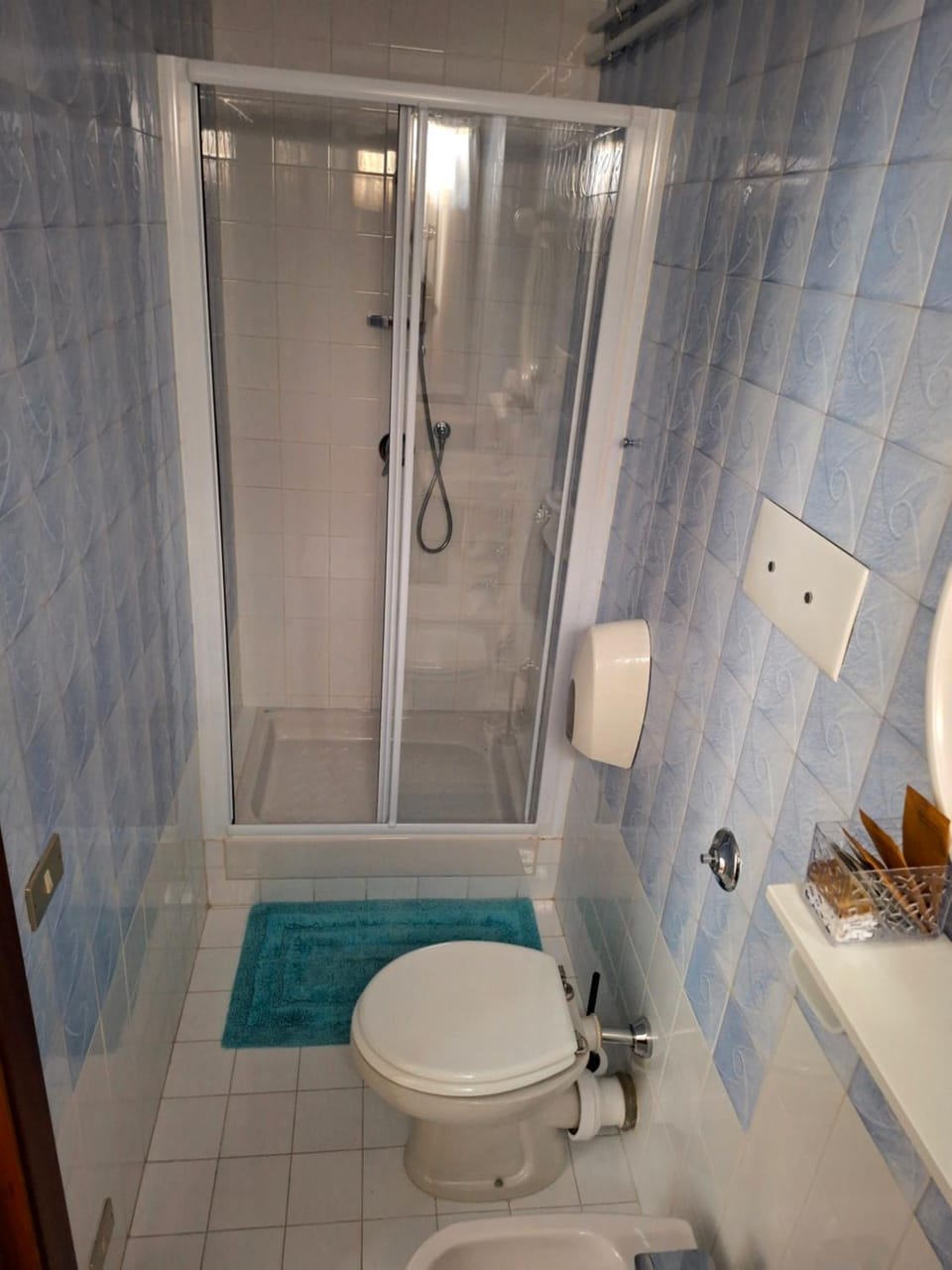 Shower, Bathroom, bidet