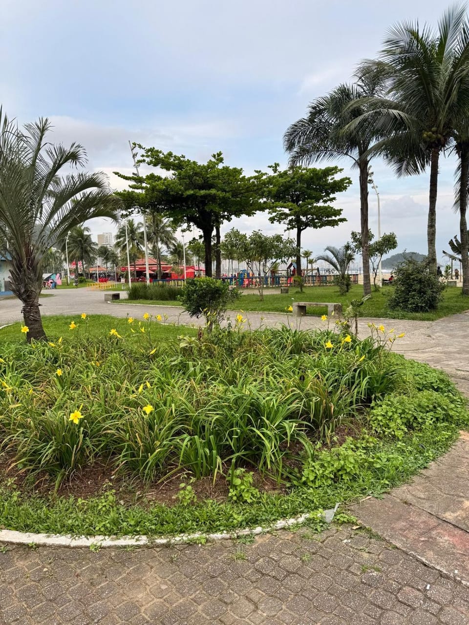 Kitnet charmosa a poucos passos da praia - Itararé Apartment in Santos