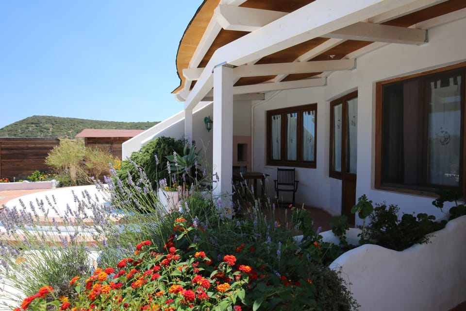 Property building, Patio