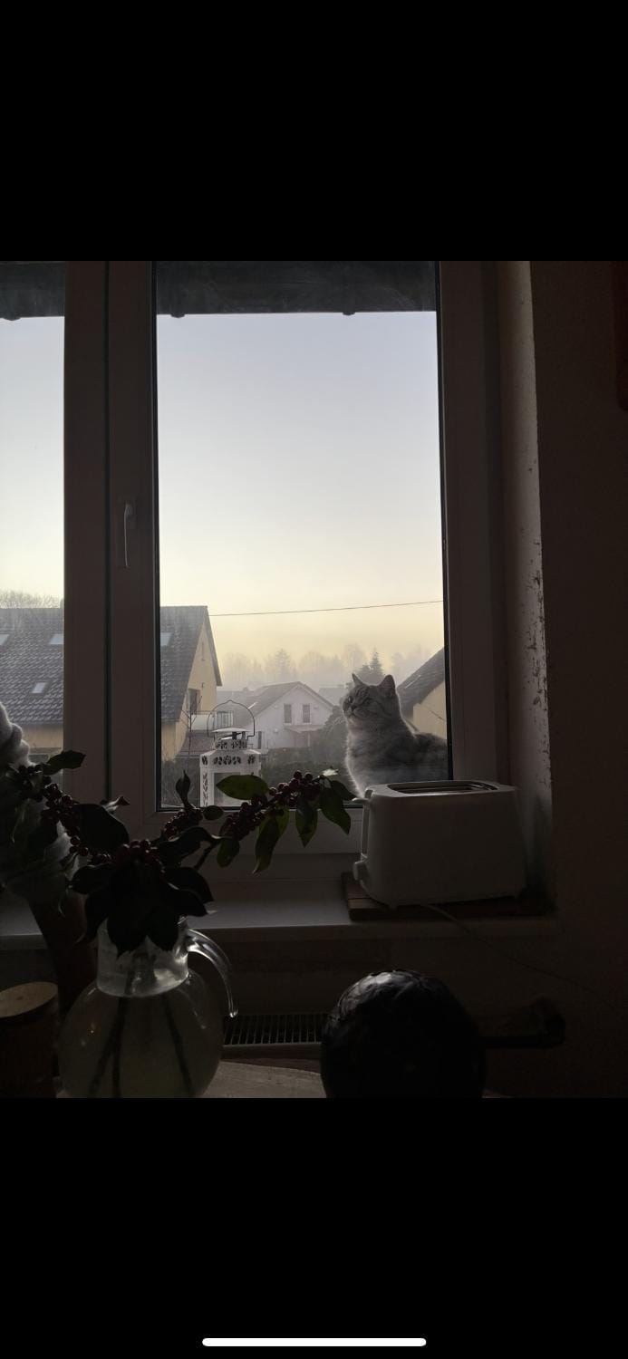 Siebengebirgsnest Apartment in Königswinter