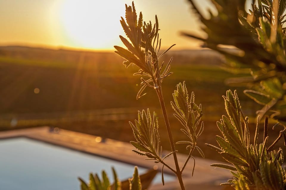 Natural landscape, Pool view, Swimming pool, Sunset
