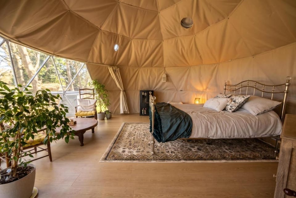 Bed, Photo of the whole room