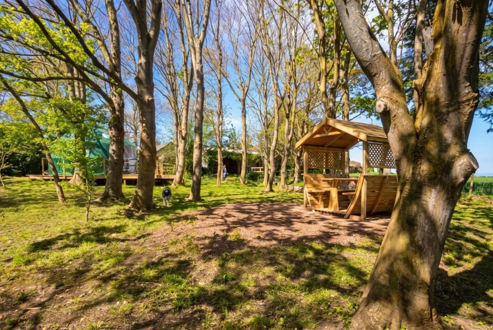 Natural landscape, Garden, Garden view