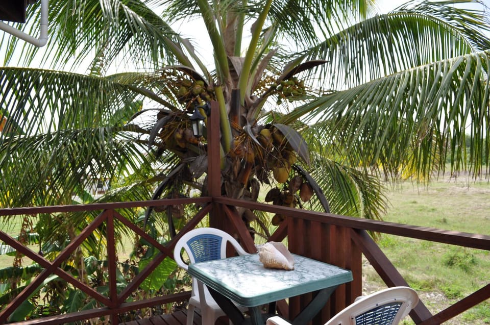 Patio, Balcony/Terrace, Dining area, Text overlay