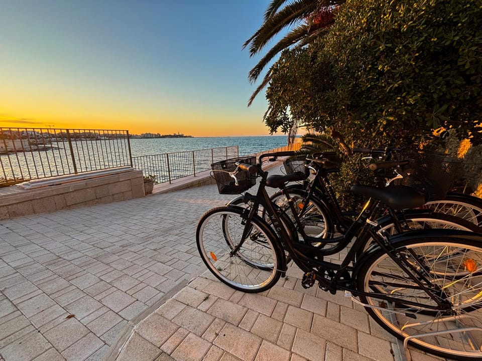 Cycling, Sea view