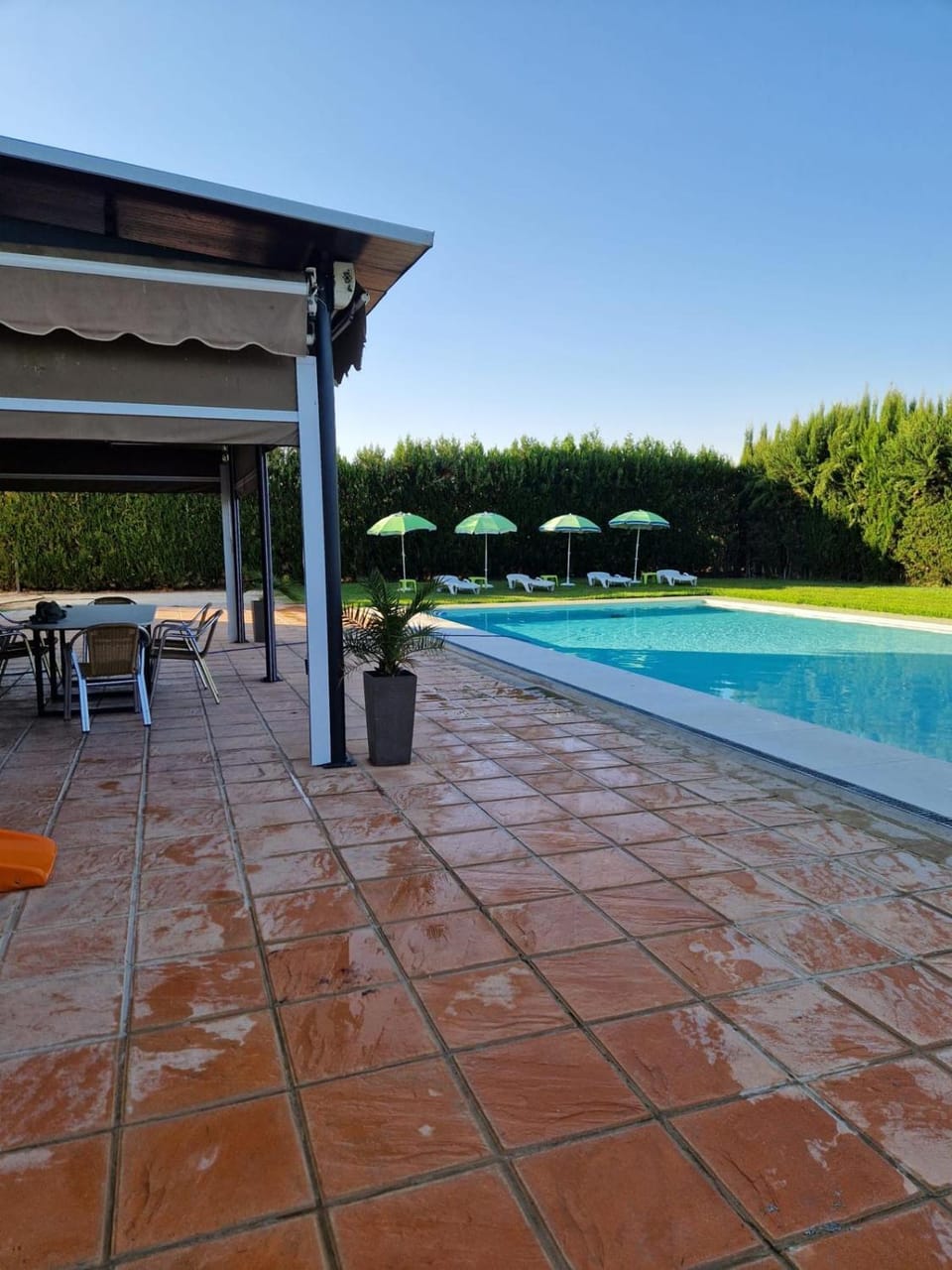 Pool view, sunbed