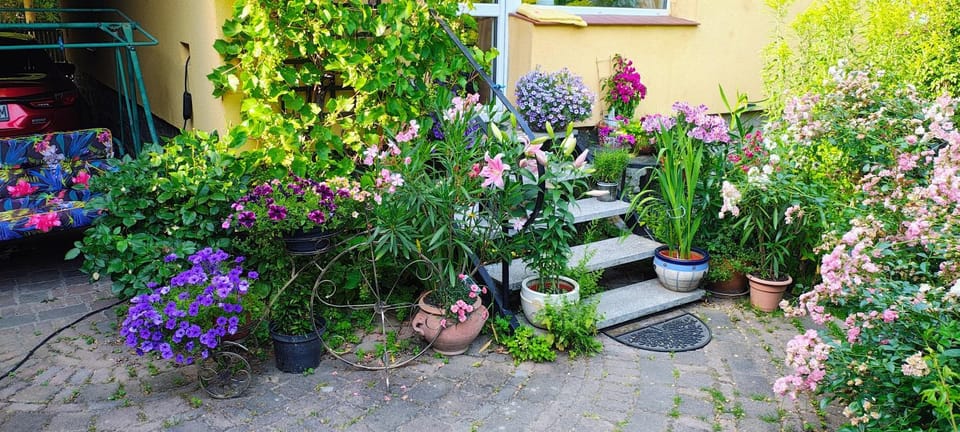 Garden view