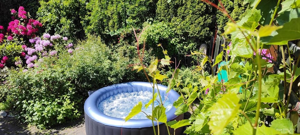 Garden, Swimming pool