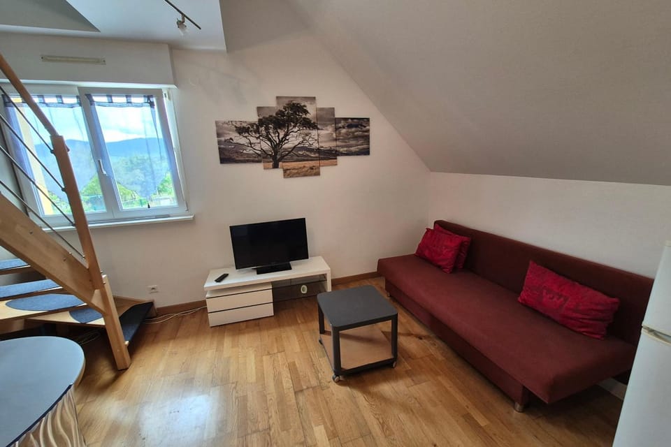 Apartment with garden in Colmar Apartment in Colmar