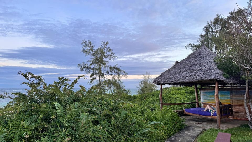 Garden, Sea view, Sunset