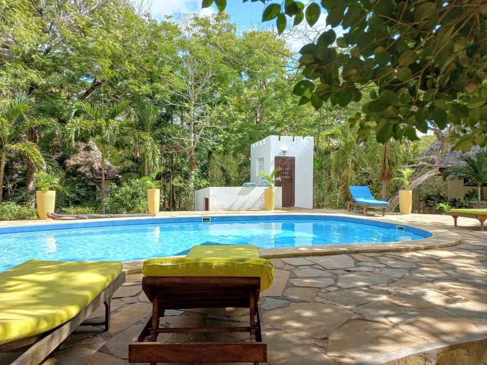 Garden, Swimming pool