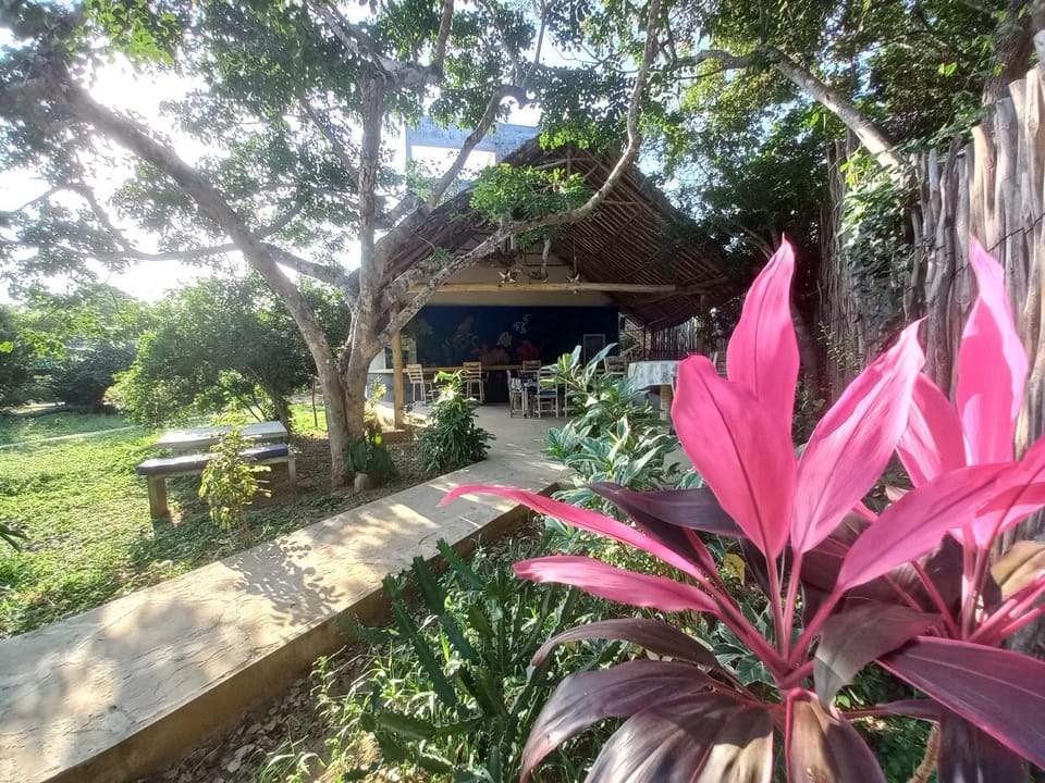 Property building, Restaurant/places to eat, Garden, Garden, Lounge or bar