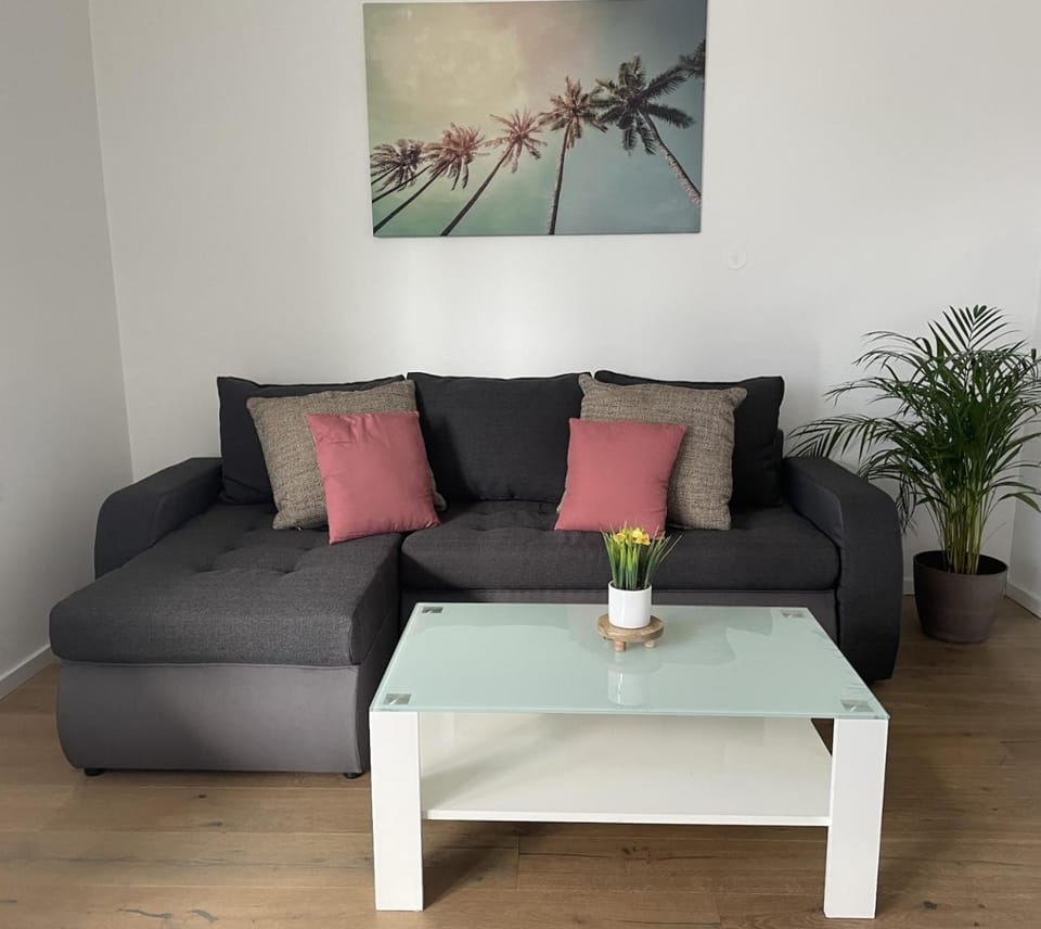 80 m2 Apartment with Balcony & Free Parking Apartment in Austria