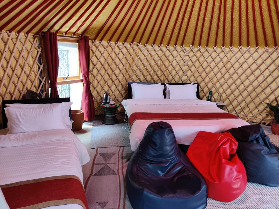 Bed, Living room, Photo of the whole room, Seating area, Bedroom