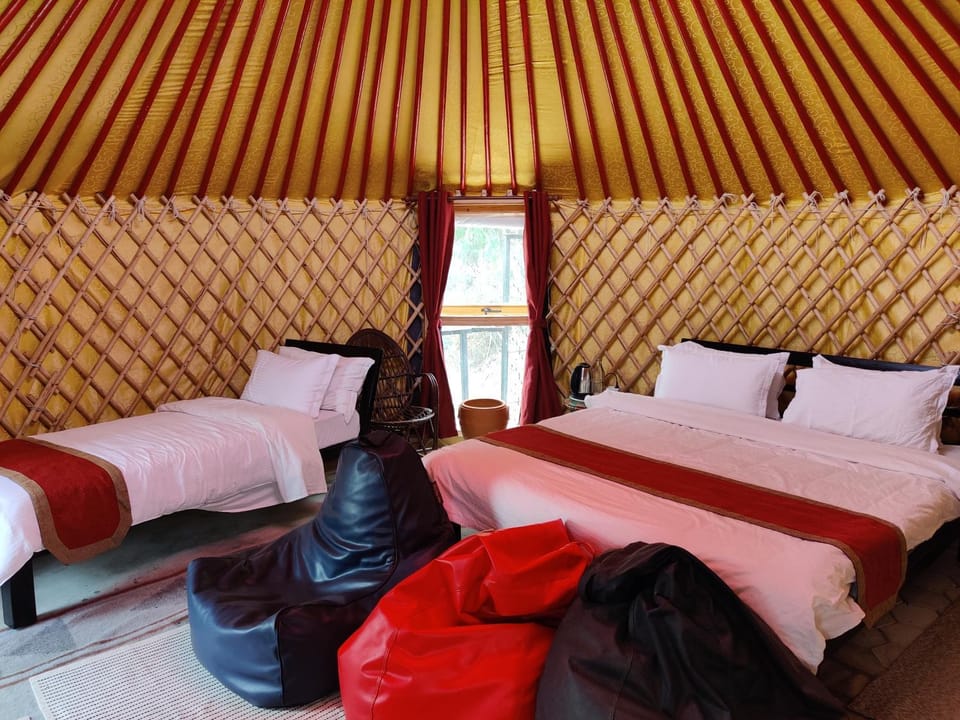 Bed, Photo of the whole room, Bedroom