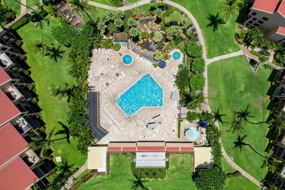 Day, Natural landscape, Bird's eye view, Garden, Hot Tub, Swimming pool