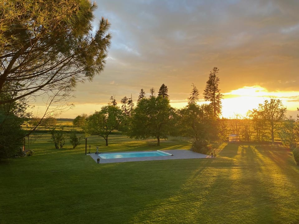 Natural landscape, Garden, Garden view, Pool view, Swimming pool, Swimming pool, Sunset