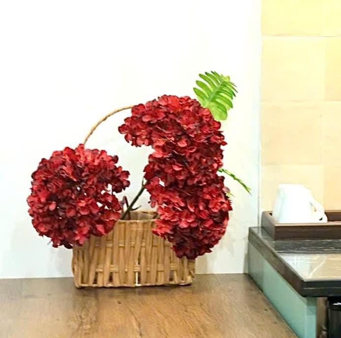 Le Soliel Apartments - Đội Cấn Ba Đình Apartment in Hanoi