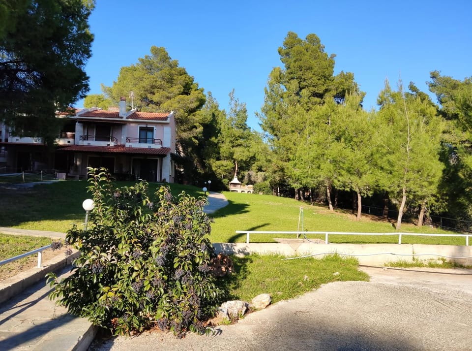 Property building, Garden view