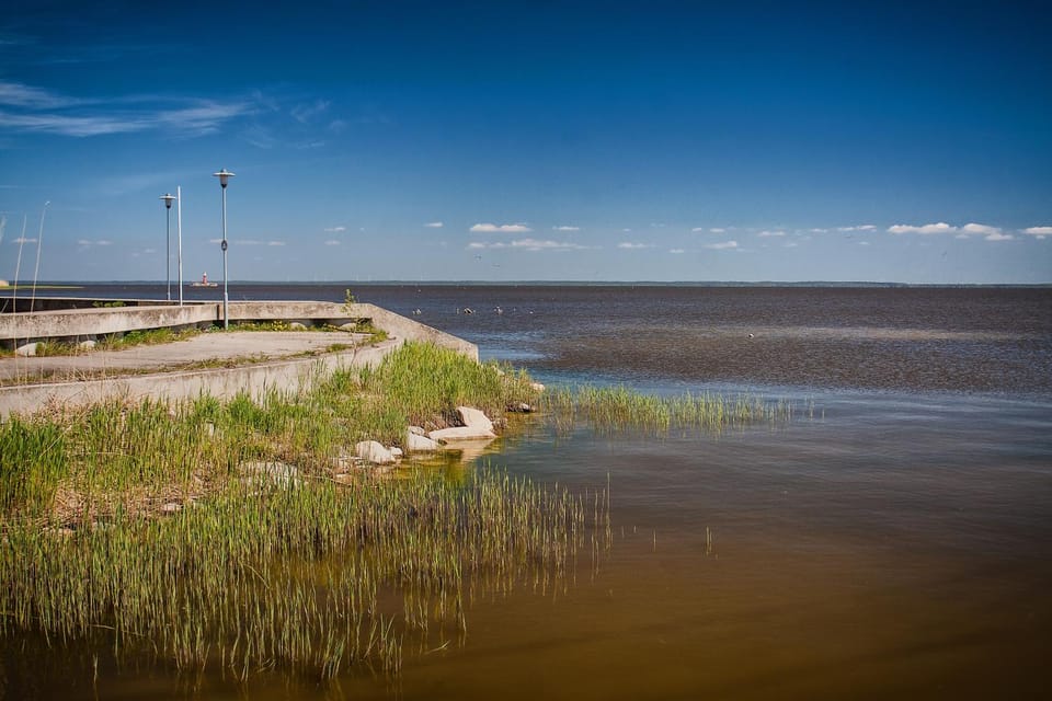 Spring, Off site, Day, Natural landscape