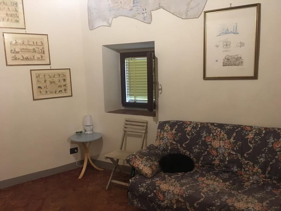 Living room, Photo of the whole room, Area and facilities