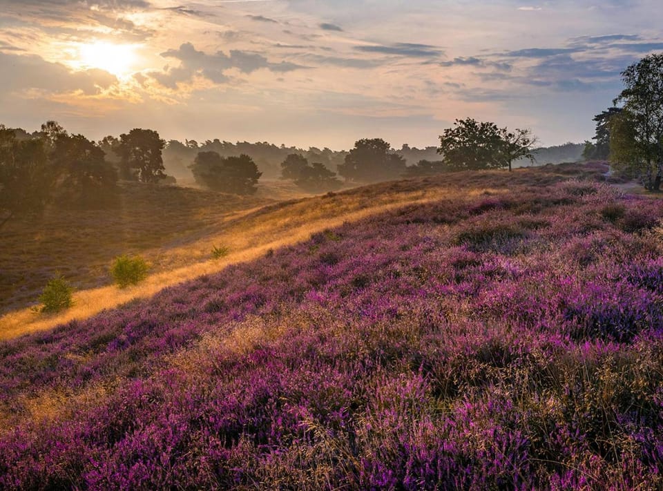 Spring, Day, Natural landscape, Sunset