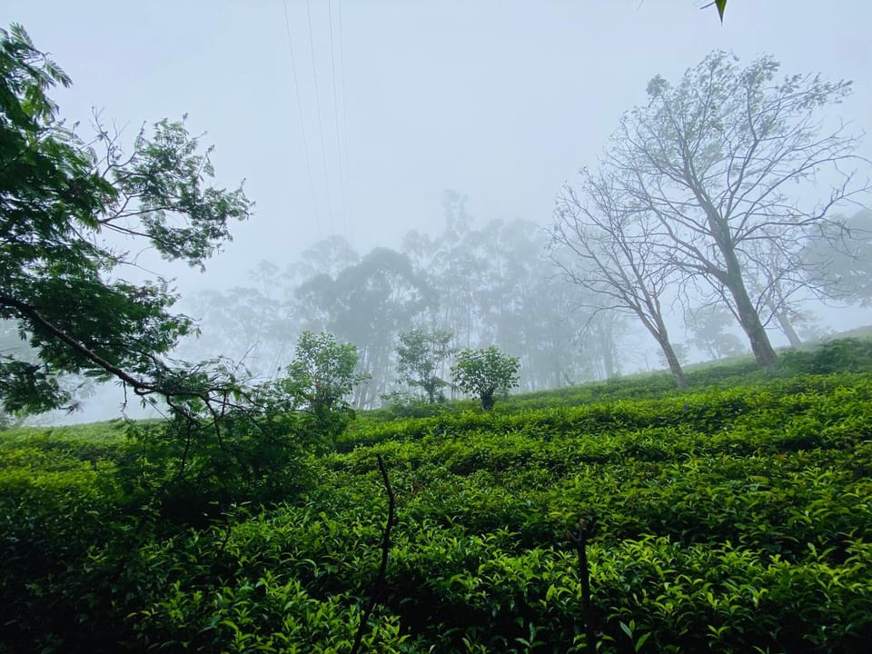 Niwasa House Bed and Breakfast in Central Province